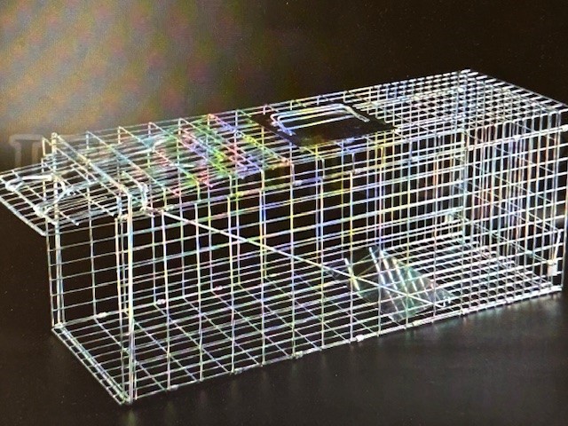 LARGE RAT COLLAPSIBLE RELOCATOR 61X21X19CM - Click Image to Close